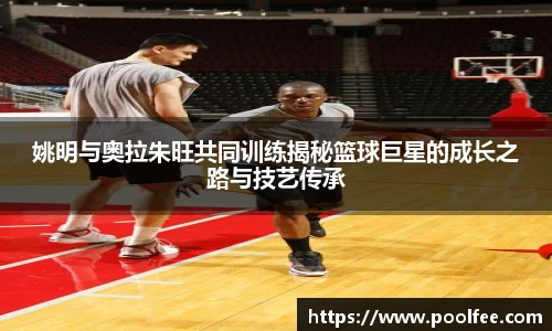 博鱼boyu体育